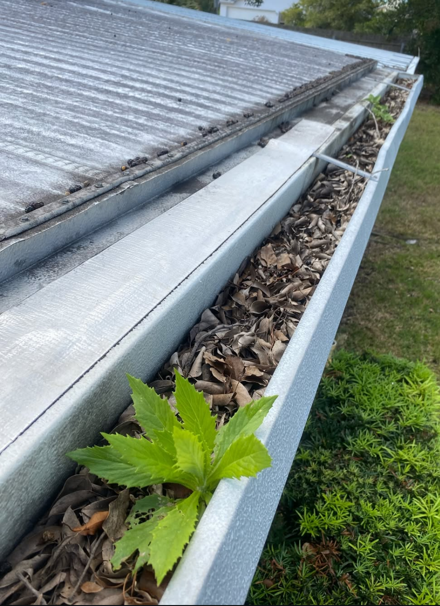 Image Blog the-importance-of-cleaning-gutters-and-its-benefits
